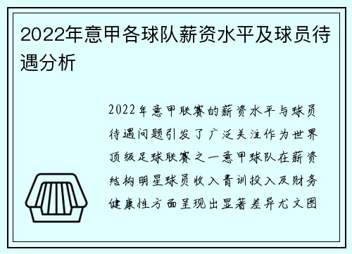 2022年意甲各球队薪资水平及球员待遇分析
