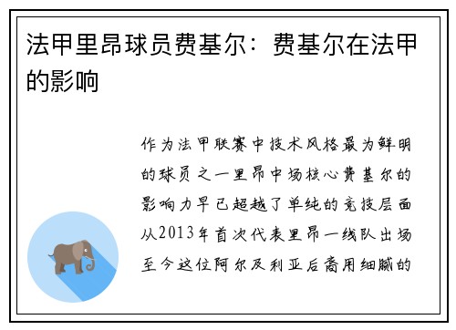 法甲里昂球员费基尔：费基尔在法甲的影响